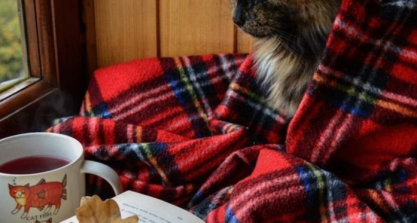 Тельцы обогатятся, а Раков накроет хандра: астропрогноз на последнюю неделю ноября