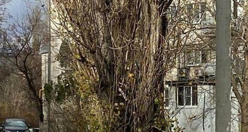 В 3-м микрорайоне Новороссийска к Новому Году появится уличное освещение