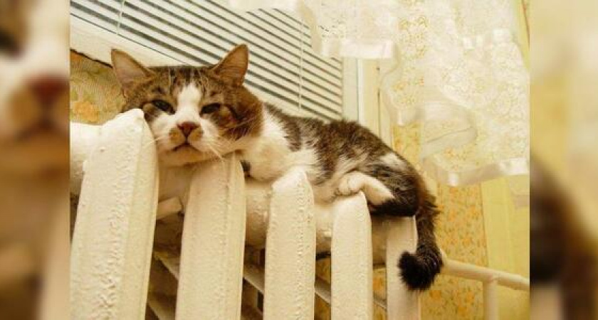 Власти Новороссийска начнут готовиться к отопительному сезону в середине мая