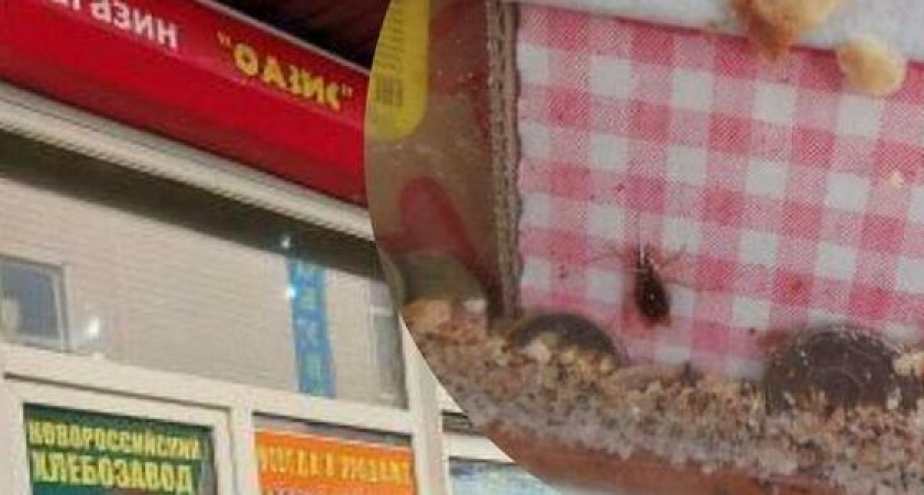 "Печенье рядом с живностью!": магазин на Центральном рынке Новороссийска кишит тараканами