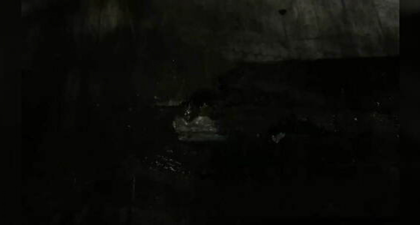 Жители Новороссийска сняли на видео, как из-под асфальта ключом бьет вода