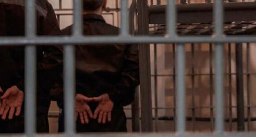 Уже в январе может быть принят закон о пожизненном наказании для педофилов