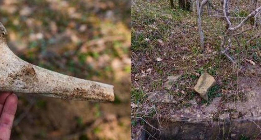 В лесу Новороссийска найдены каменные гробницы с человеческими останками
