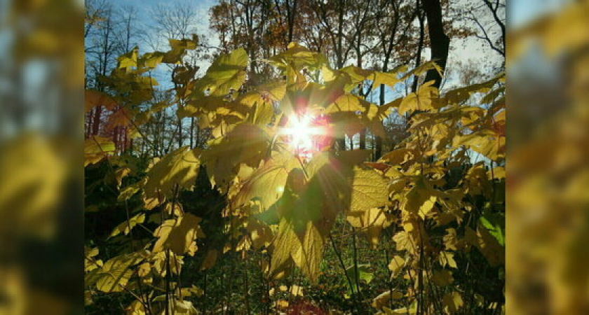 Теплые выходные перед похолоданием ждут новороссийцев. Синоптики о погоде