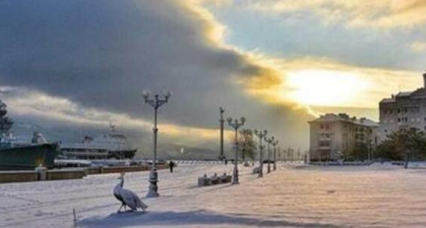 Отмена техосмотра, помощь родителям и досрочная пенсия: новые законы в 2022 году