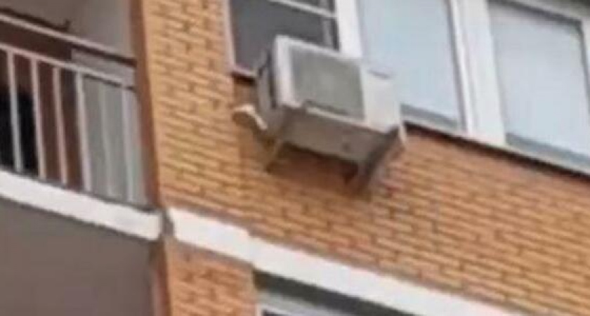 В Новороссийске дети с балкона "обстреляли" припаркованные машины и прохожих картошкой