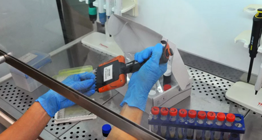 Коронавирусная инфекция  у жительницы Новороссийска, которая была помещена в спецбокс, не подтвердилась