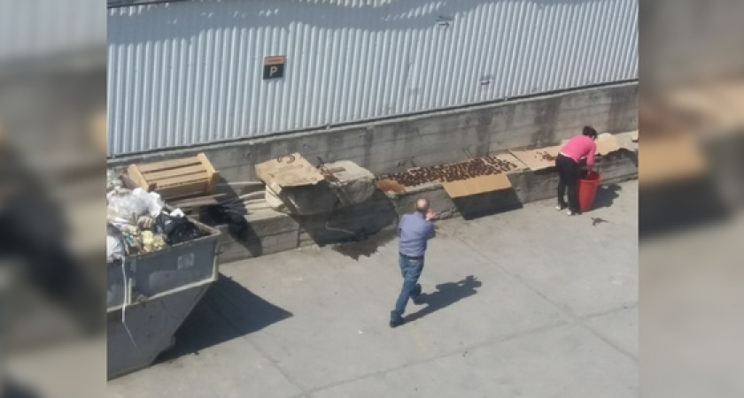 Жители Новороссийска сняли на видео, как промывают финики рядом с мусоркой и затем фасуют