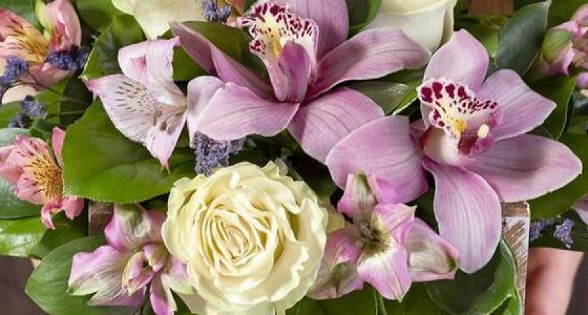 Цветы для рожденных в год Собаки: подходящие композиции для доброго человека с тонкой душой