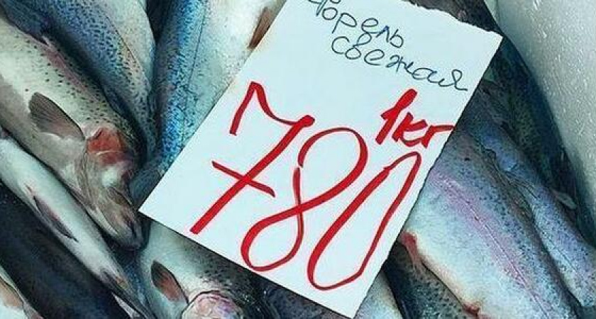 "Рыбаками стали все!" в Новороссийске начали продавать форель, выброшенную штормом из рыбного хозяйства в Сочи