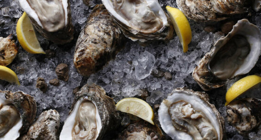 Живые устрицы и свежие крабы: где в Новороссийске купить изысканные морепродукты с Дальнего Востока