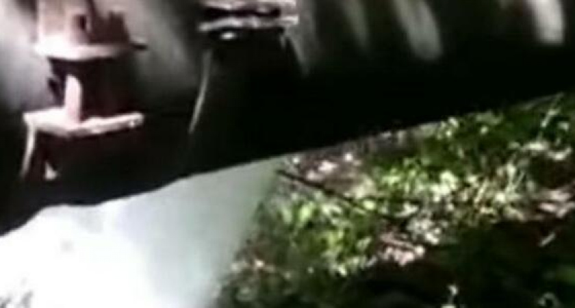 В водоканале Новороссийска прокомментировали видео о прорыве водопровода в лесу