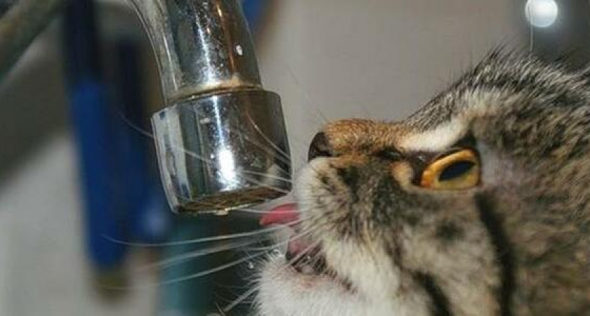 В Новороссийске 18 января будет ограничена подача воды