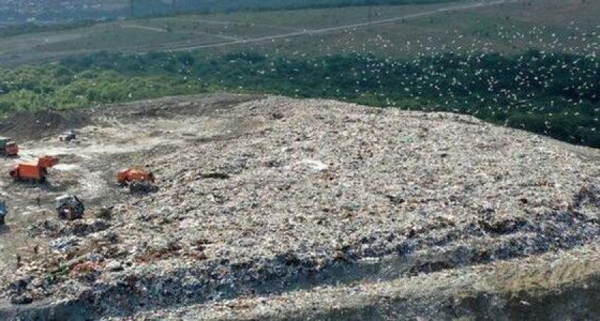 Новороссийцы собирают подписи гепрокурору РФ с требованием проверить законность свалки на горе Щелба