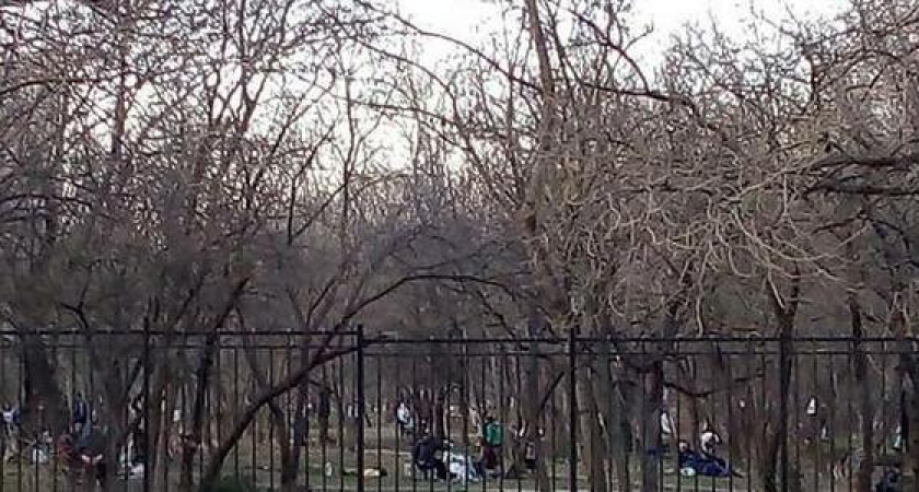 В природоохранной прокуратуре рассказали, могут ли новороссийцы жарить шашлык в Пионерской роще