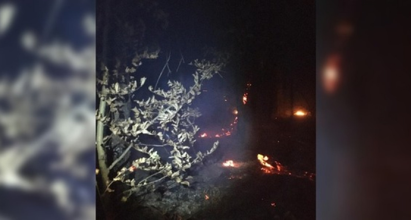 Пожарные и спасатели два часа тушили вспыхнувший на Маркотхском хребте лесной пожар