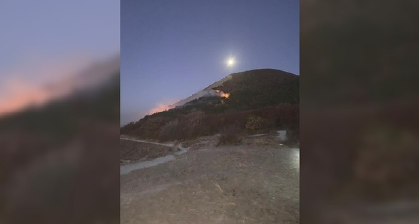 В Новороссийске горит Колдун. Видео лесного пожара