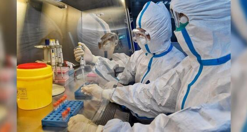 В «инфекционку» поступило 9 пациентов. Власти Новороссийска о ситуации по коронавирусу