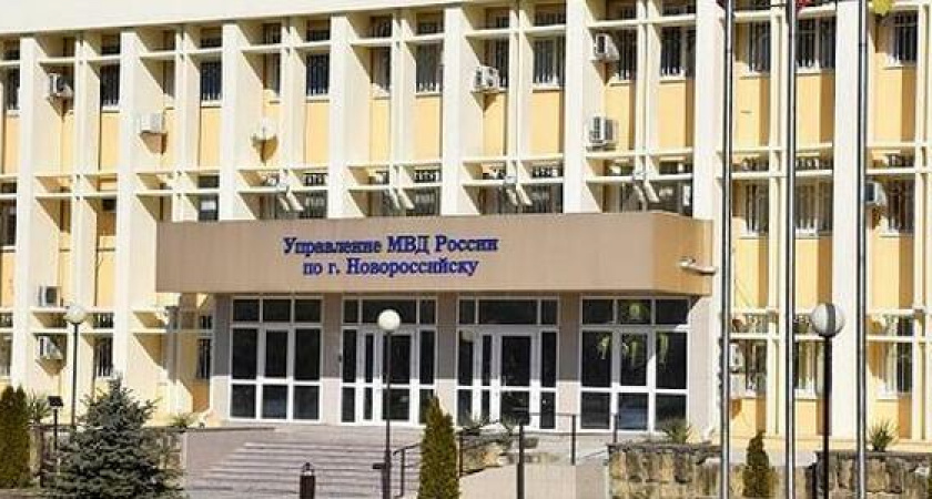 Житель Новороссийска вырастил у себя во дворе 30 кустов конопли