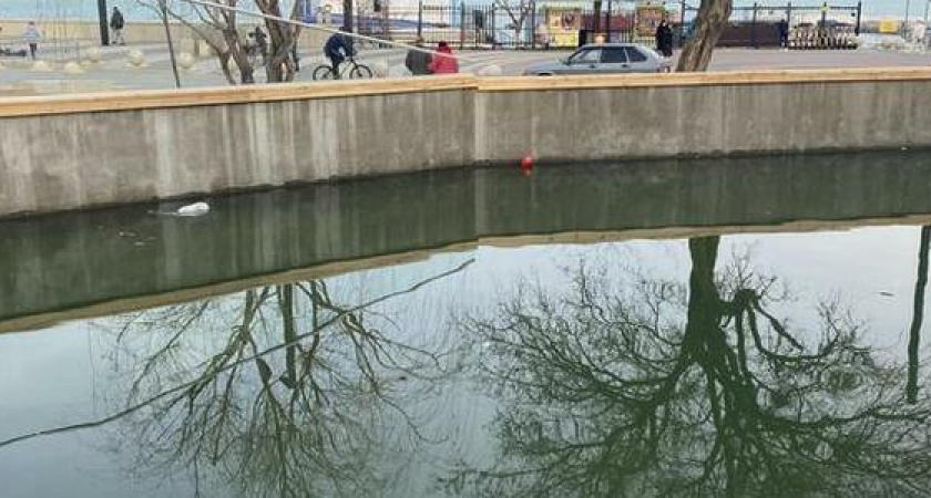 «Делали для вас, прекратите все портить!»: обновлённый пруд в парке Фрунзе наполняется мусором