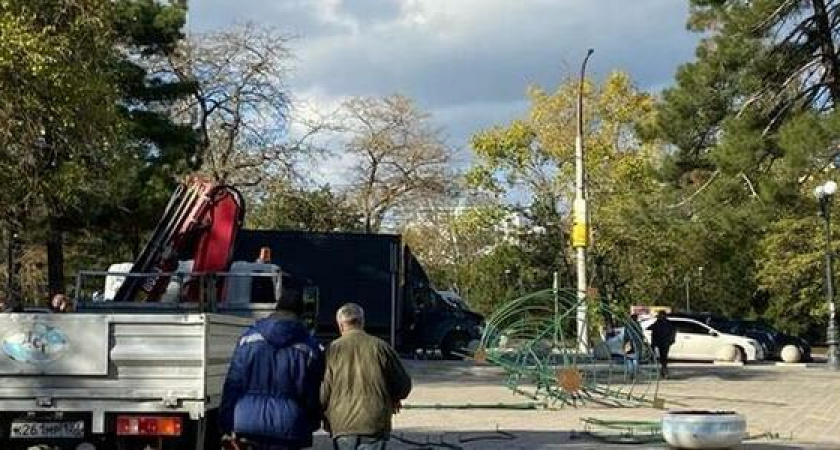 В парке Новороссийска начали устанавливать новогоднюю елку