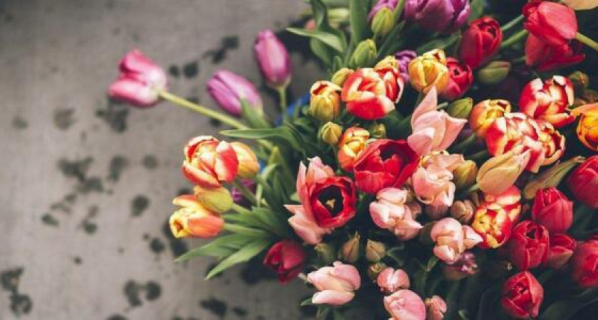 «Новороссийская управляющая компания» поздравляет с Международным женским днем!