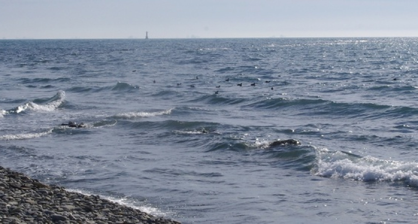 Молодой человек пытался свести счеты с жизнью на пляже Новороссийска