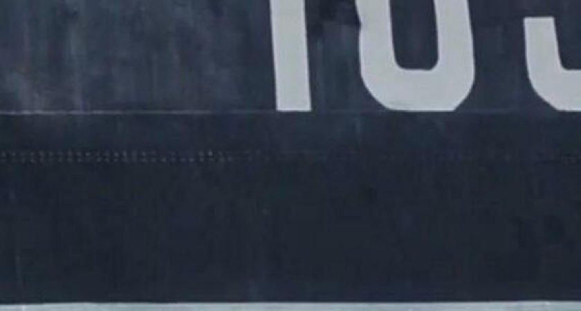 К крейсеру "Михаил Кутузов" в Новороссийске приплыл дельфин: видео