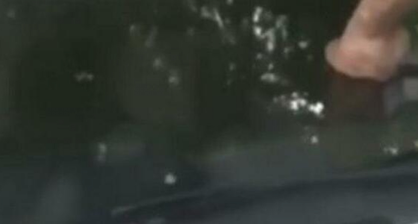 Автохамам в Анапе ставят на машины резиновые члены: видео