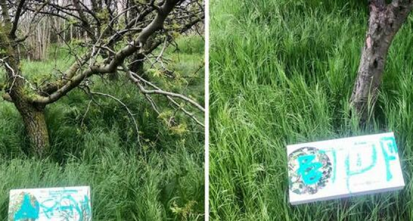 Вандалы изрисовали таблички в новороссийском дендропарке