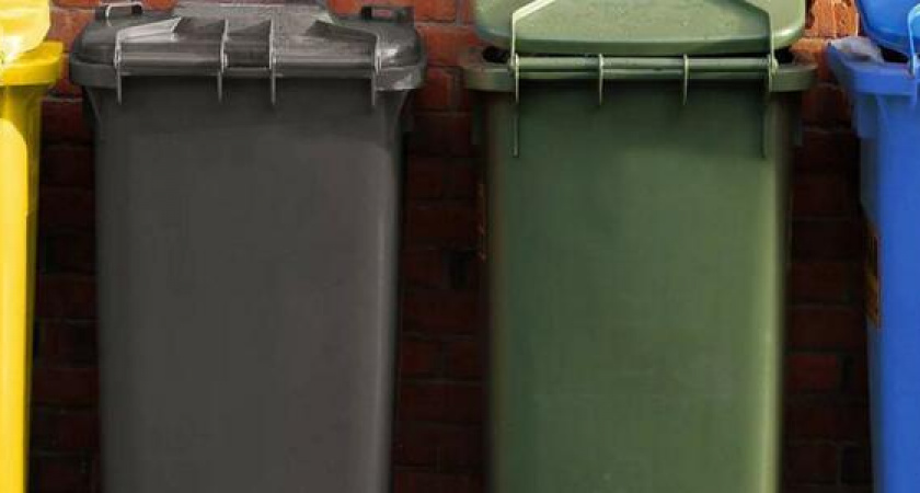 Жительница улицы Видова высказалась против установки мусорных контейнеров возле детской площадки