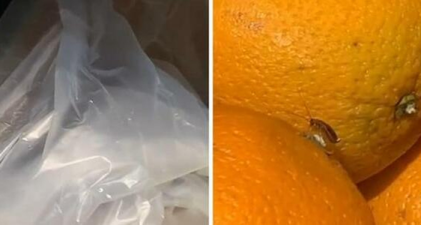 Тараканы на полках: в новороссийском "Магните" появились новые "охранники"