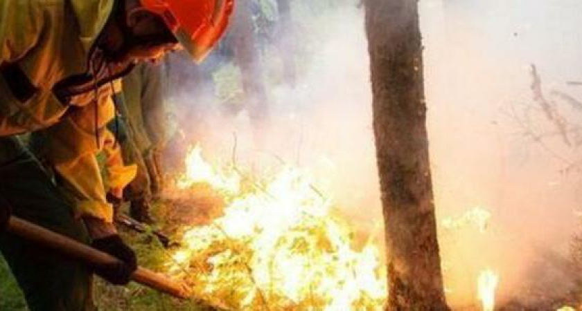 В Новороссийске объявлен четвертый класс пожароопасности