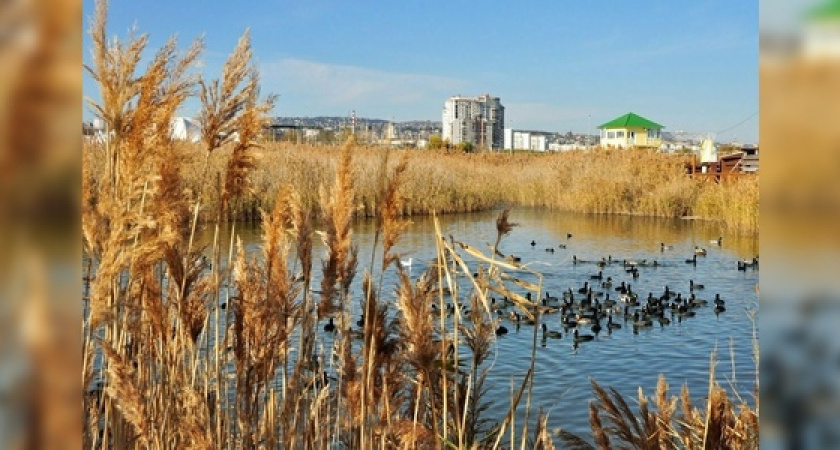 Сколько еще в Новороссийске продержится теплая погода? Прогнозы синоптиков