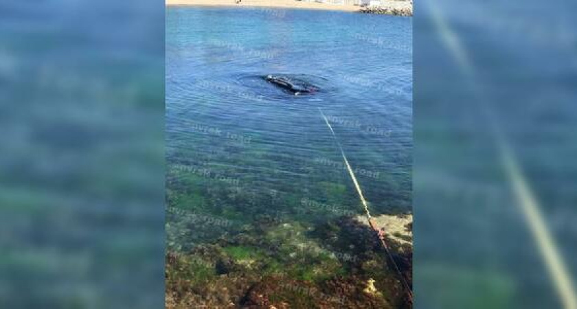 «Самоизолировался». На новороссийском пляже иномарка укатилась в море