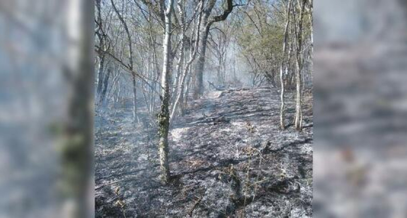 Площадь пожара на Колдуне достигла 0,6 га. Его тушили новороссийские пожарные, спасатели и военные (фото)