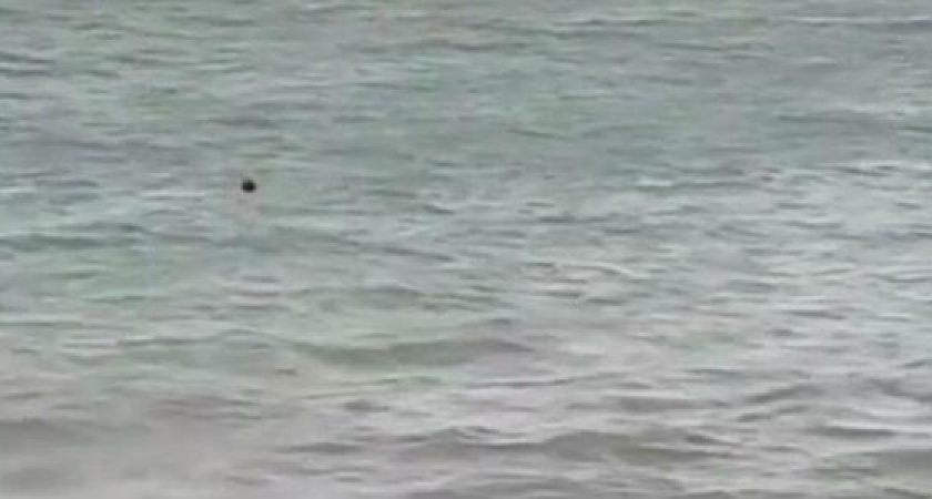 "Кто утонет, купаться больше не будет!": новороссийских моржей не пугает шторм