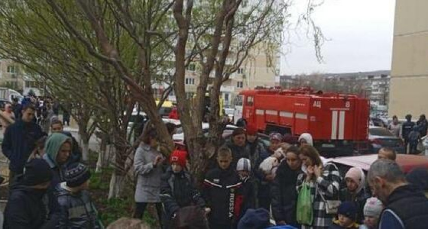 В Новороссийске спасатели реанимировали собаку