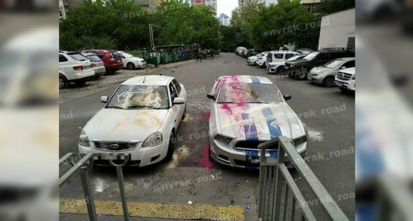 «Веселье или наказание за парковку?» В Новороссийске два автомобиля облили краской и обклеили единорогами (фото)