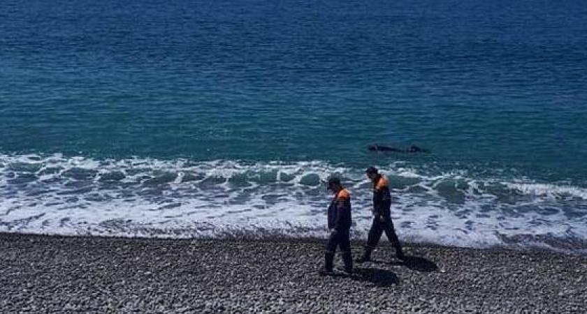 Спасатели обследовали морское дно на пляжах Новороссийска (фото находок)