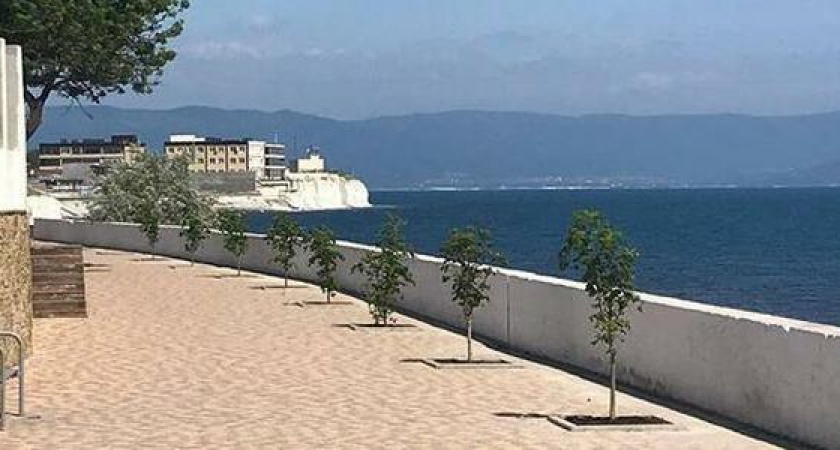 Новороссийцы заложили в Мысхако «Сад Памяти» в честь погибших в ВОВ родственников