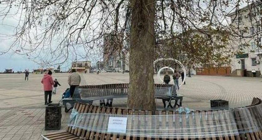 На Форумной площади Новороссийска установили круговые лавочки вокруг платана