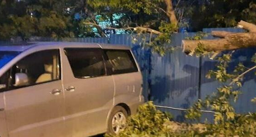 В Новороссийске спасатели всю ночь устраняли последствия разгула стихии