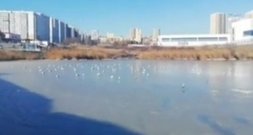 В Новороссийске замерзло озеро Соленое. Жителей города просят не выходить на лед
