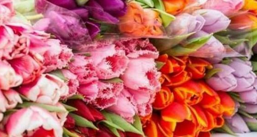 В Новороссийске накануне Международного женского дня открылось 9 цветочных ярмарок