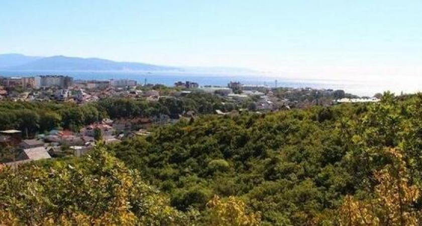 На территории лесного фонда в Мысхако мог вырасти жилой микрорайон: афера на 400 миллионов рублей