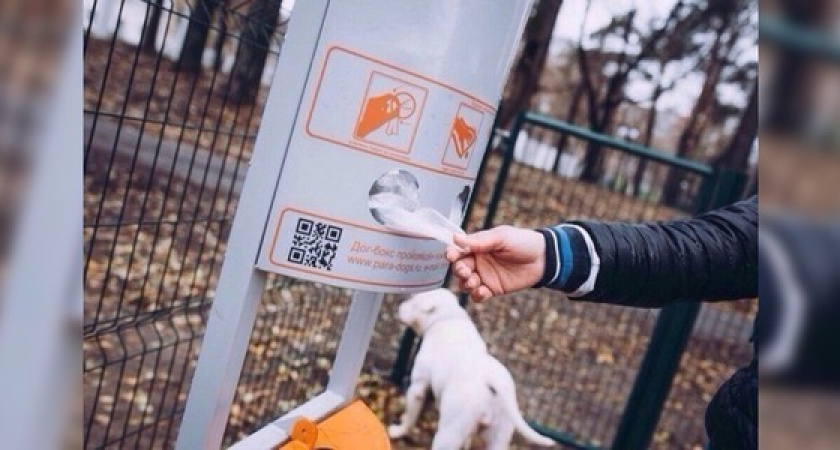 Дог-боксы для уборки за собаками установят на набережной Новороссийска