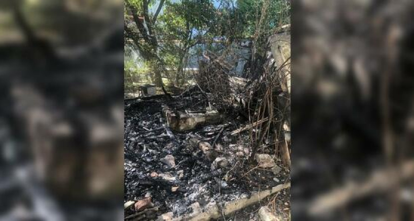 Возле одной из школ Новороссийска вспыхнул пожар