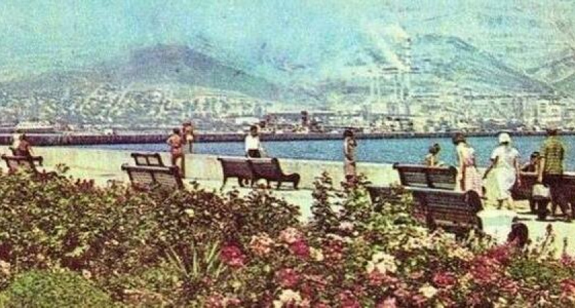 "А говорят, у нас ничего не растет": главный архитектор показал фото цветущей набережной Новороссийска в советские годы