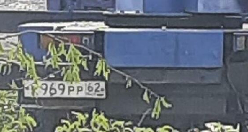 «Опять рубят деревья!»: новороссийцы заметили, что на Анапском шоссе спили здоровую акацию